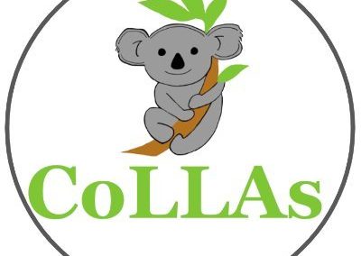 Conference on Lifelong Learning Agents – CoLLAs 2025