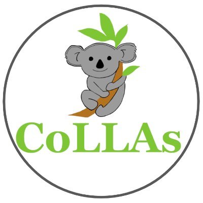 Conference on Lifelong Learning Agents – CoLLAs 2025
